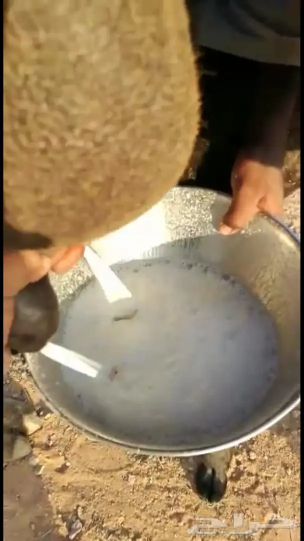 للبيع خلفه مجهم هداوه وحليب  (image 3)