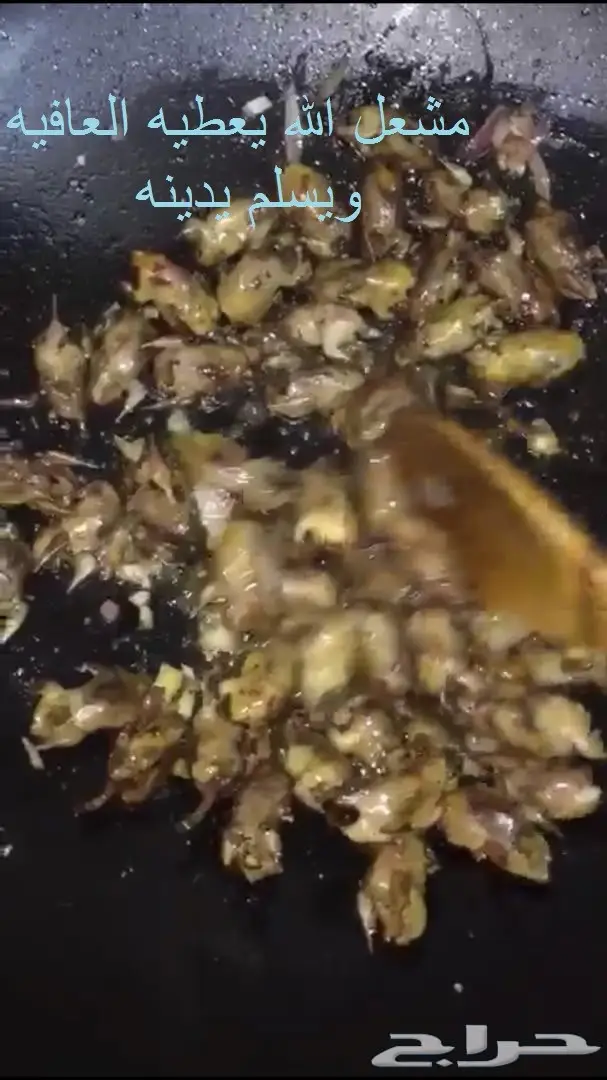  الطيب يالكيب الحق الصيد الطيب  (image 1)