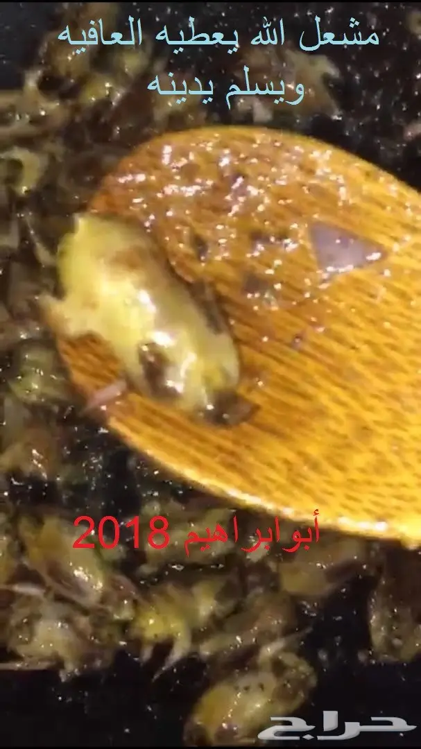  الطيب يالكيب الحق الصيد الطيب  (image 4)