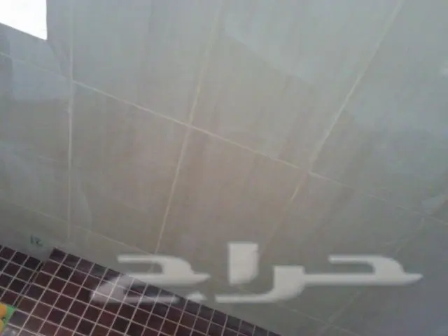 معلم بلاط سوري (image 5)