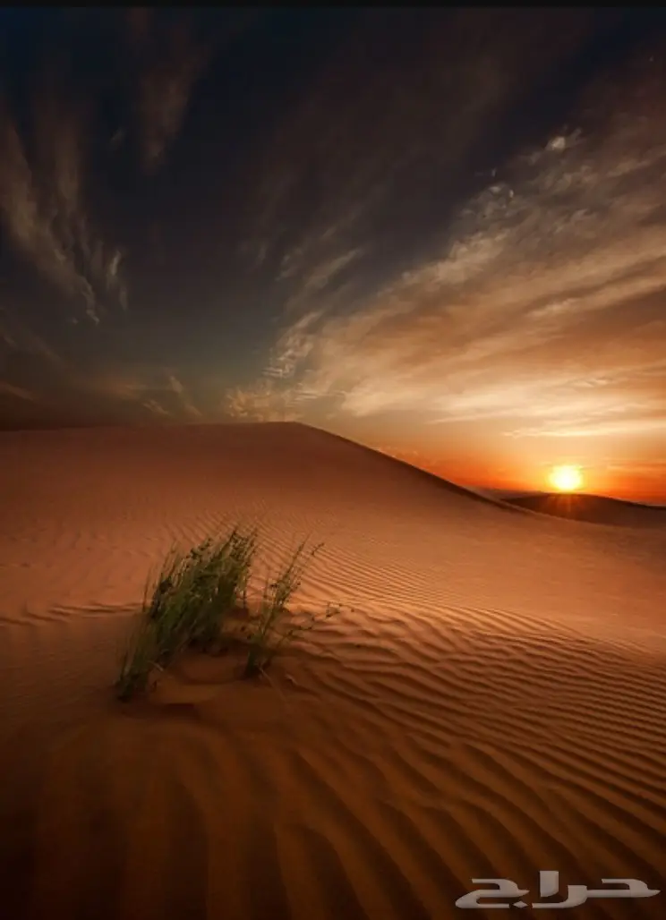 ضان حريه عددها150تحتها عشرين 