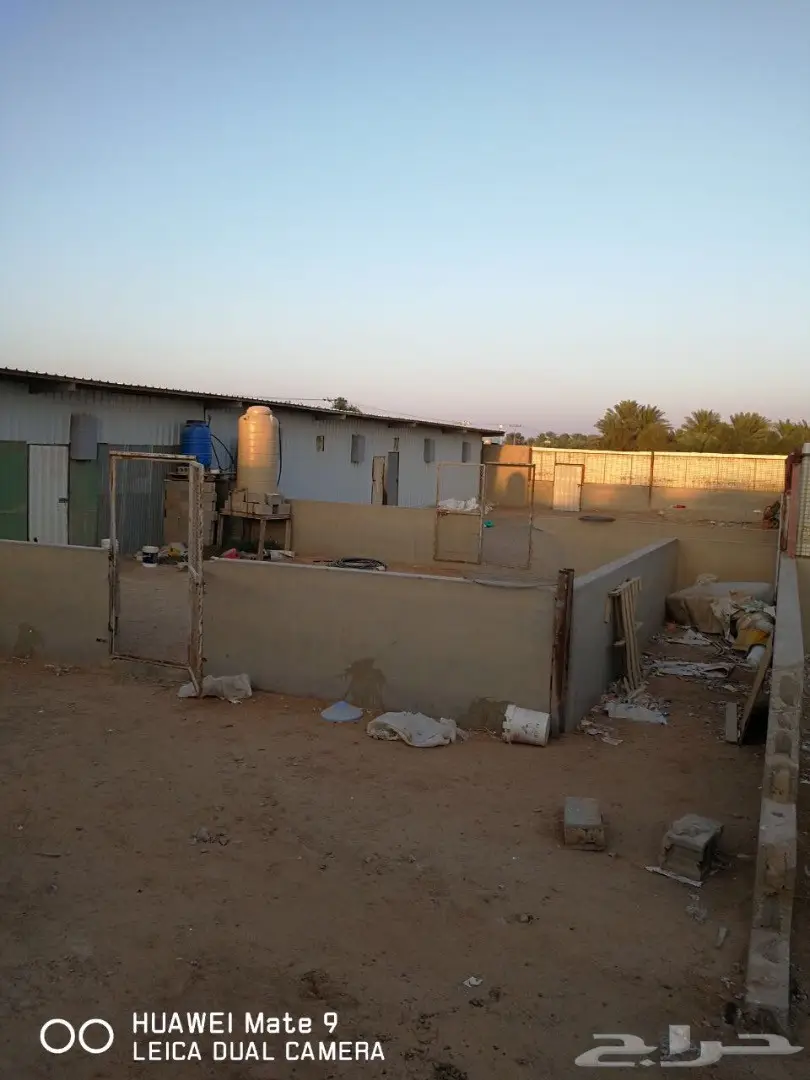 فرصة استثمارية ذهبية: مشروع دواجن وحديقة طيور متكامل بالقصيم! (image 6)