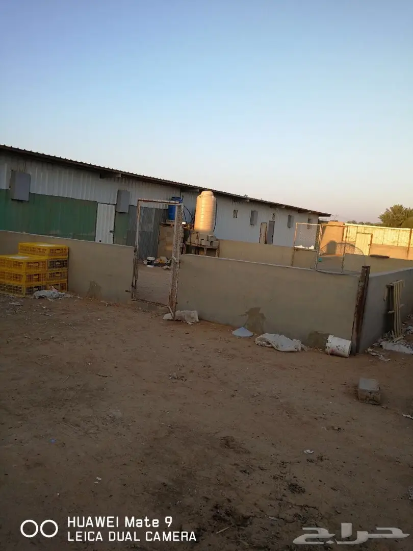 فرصة استثمارية ذهبية: مشروع دواجن وحديقة طيور متكامل بالقصيم! (image 20)