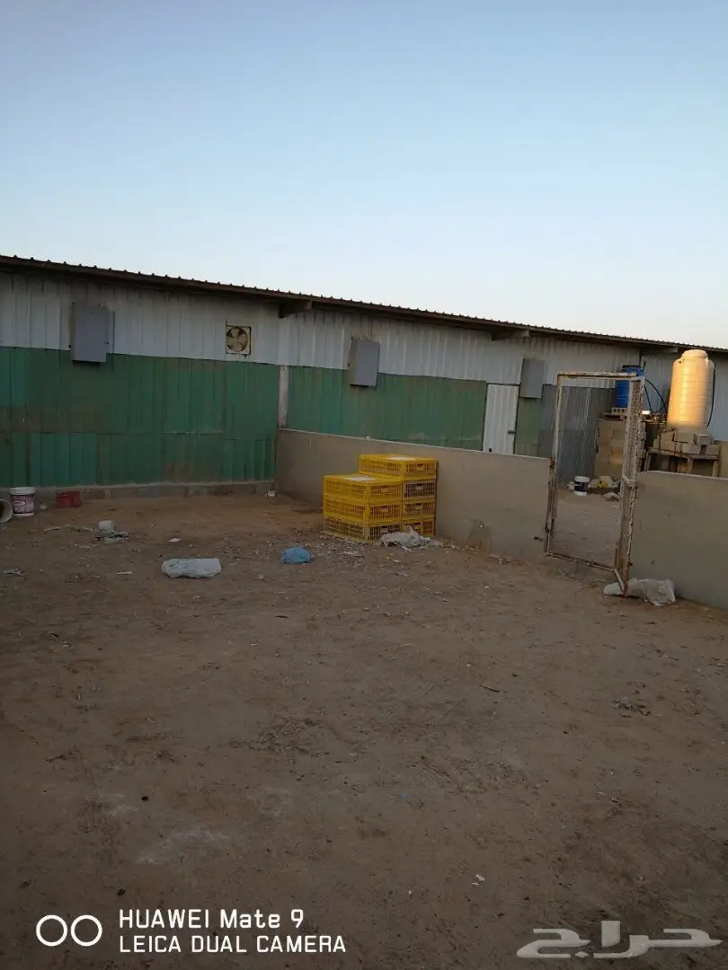 فرصة استثمارية ذهبية: مشروع دواجن وحديقة طيور متكامل بالقصيم! (image 32)