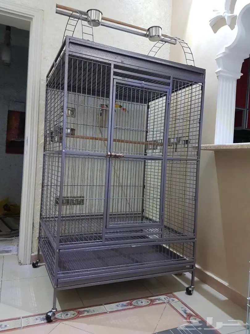 قفص كبير للبيع - فرصة ذهبية! (image 1)