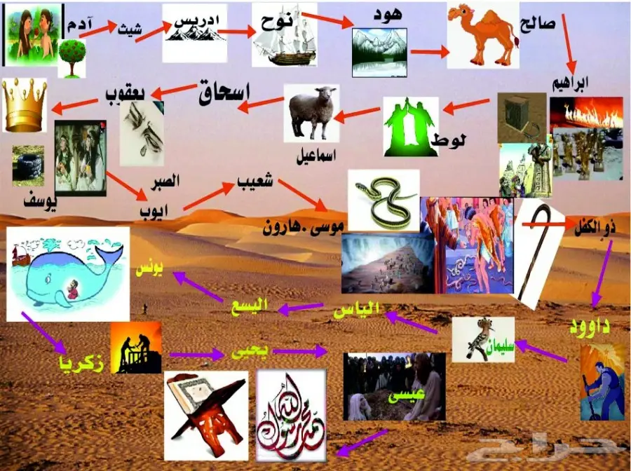 تصميم احترافي - فوتوشوب، كورال درو، وشعارات مميزة (image 5)