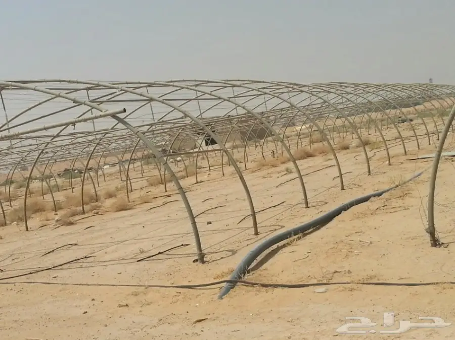 بيوت محميه (image 2)