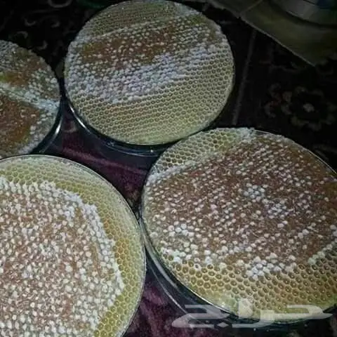 جميع انواع العسل 