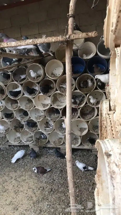 حمام خليطي - فرصة استثمارية!