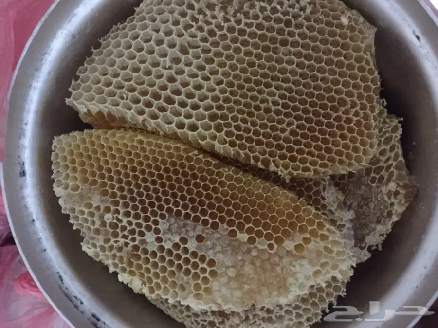 جميع انواع العسل  (image 1)