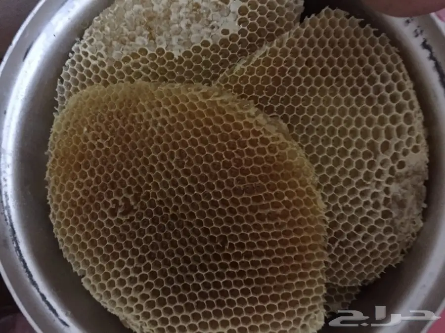 جميع انواع العسل  (image 2)