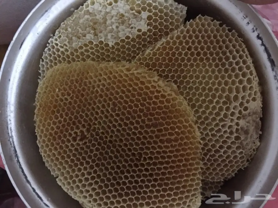 جميع انواع العسل  (image 3)