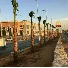 تنسيق حدائق (image 16)