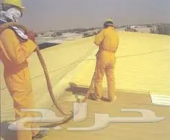 كشف تسربات المياه عزل اسطح (image 4)