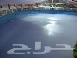 كشف تسربات المياه عزل اسطح (image 5)