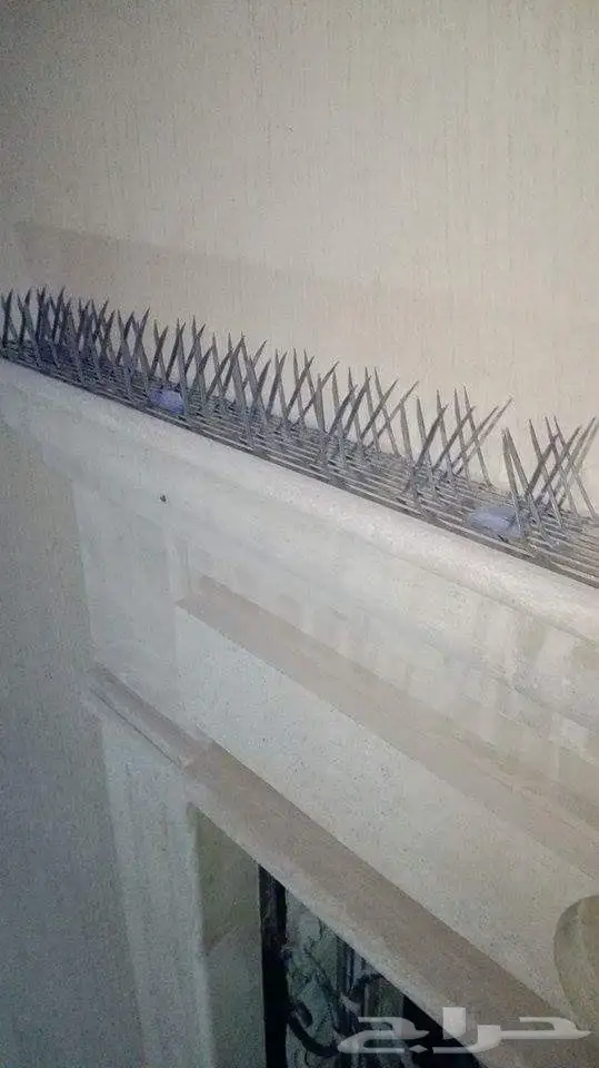 شركة مكافحة حمام مكافحة الطيور تركيب شبك 