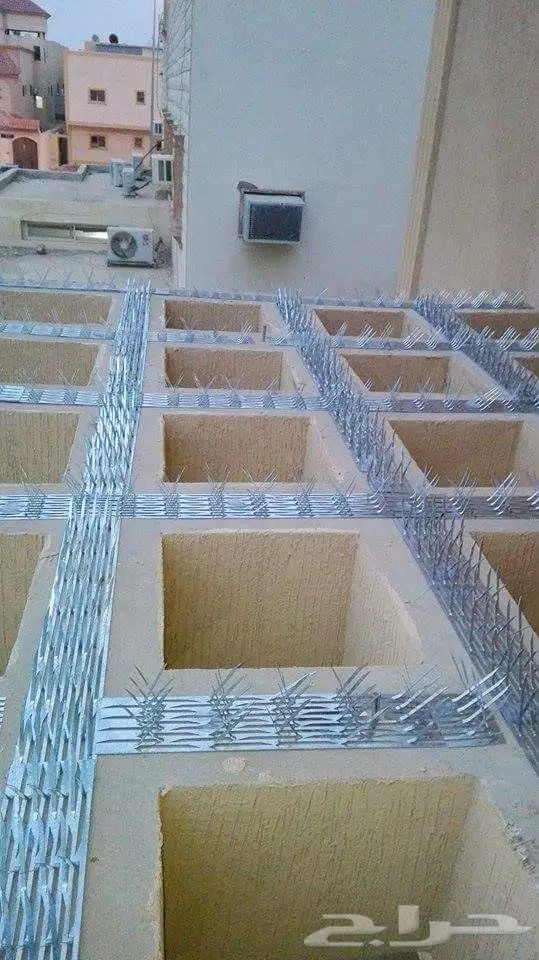 شركة مكافحة حمام مكافحة الطيور تركيب شبك  (image 1)