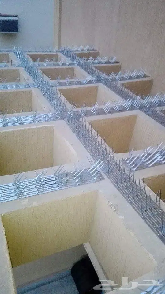 شركة مكافحة حمام مكافحة الطيور تركيب شبك  (image 2)