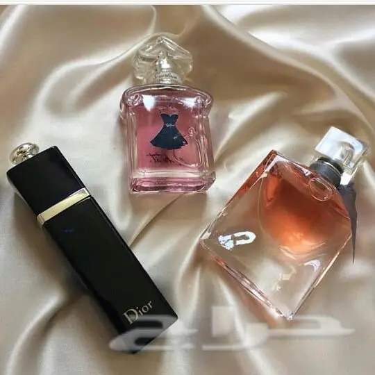 عطور فرنسيه اصليه و درجه أولى بأقل الأسعار  (image 3)