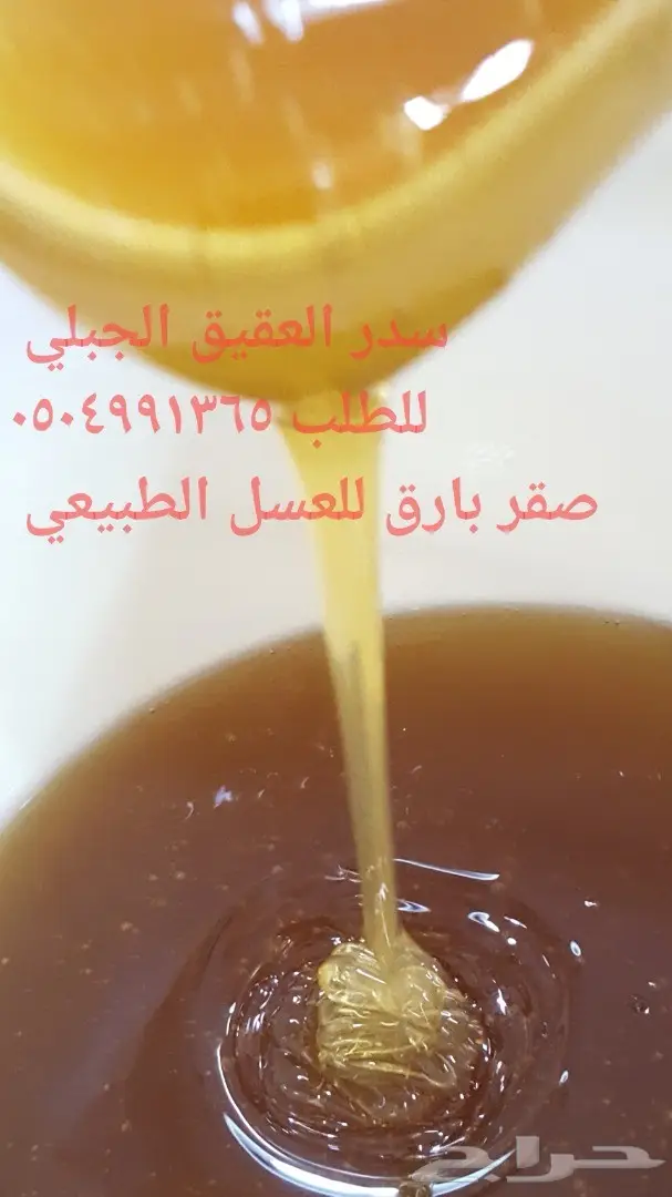 عرض اليوم (image 1)