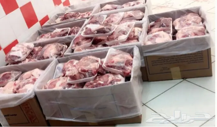 نحر غدآ حاشي بري لباني على الحليييب لايفوتكك (image 5)