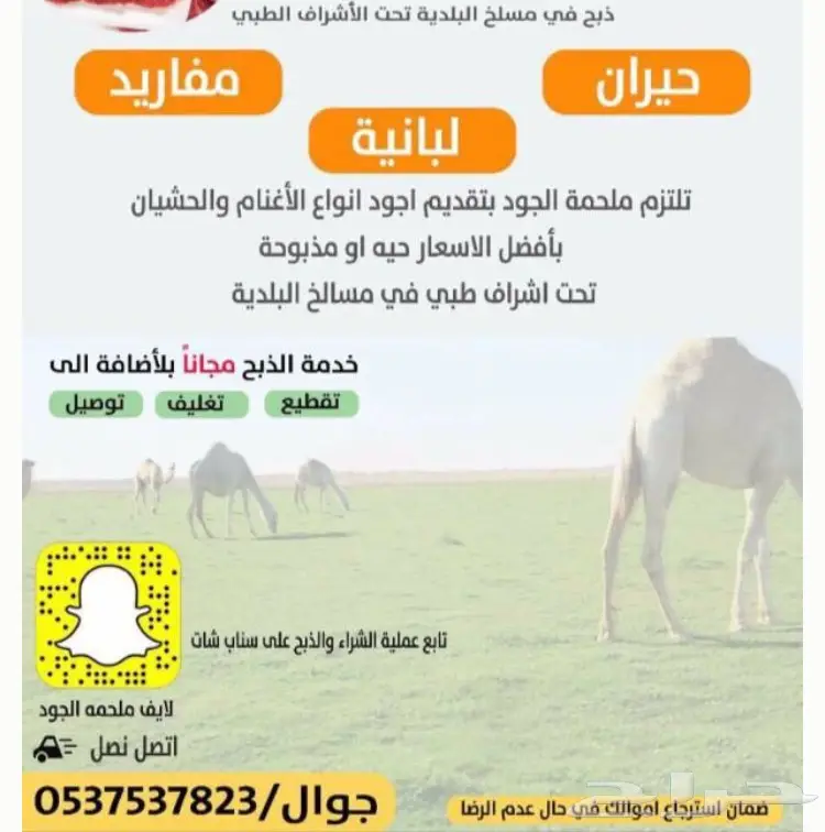 نحر غدآ حاشي بري لباني على الحليييب لايفوتكك (image 4)