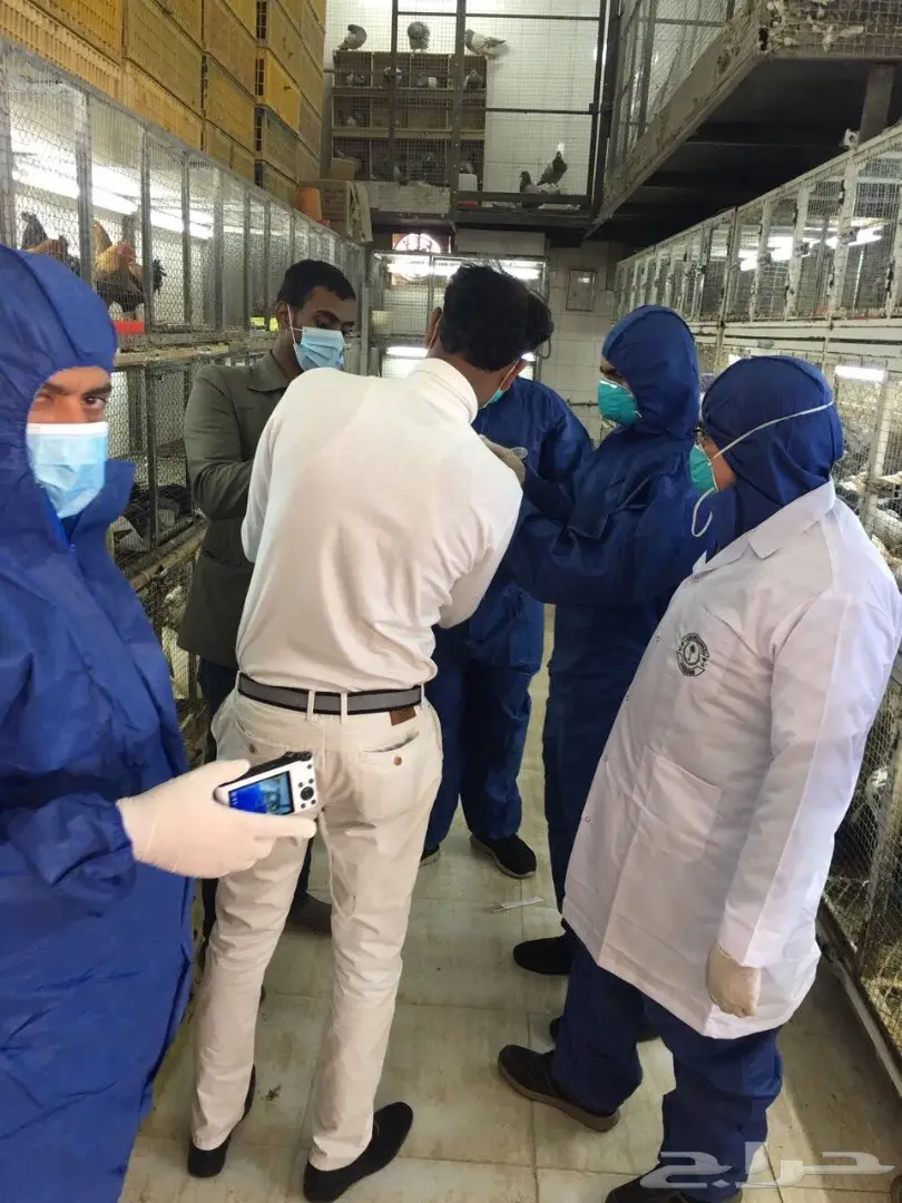 عاجل سوق الحمام في العزيزيه ((مغلق))