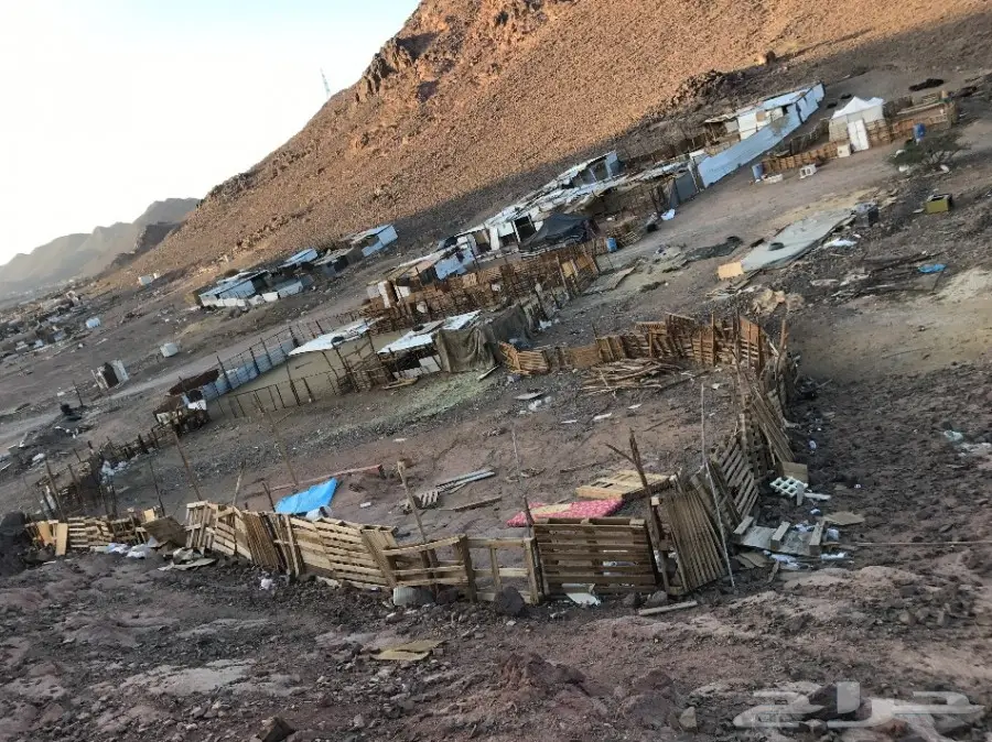 شبك غنم(مراح) (image 5)