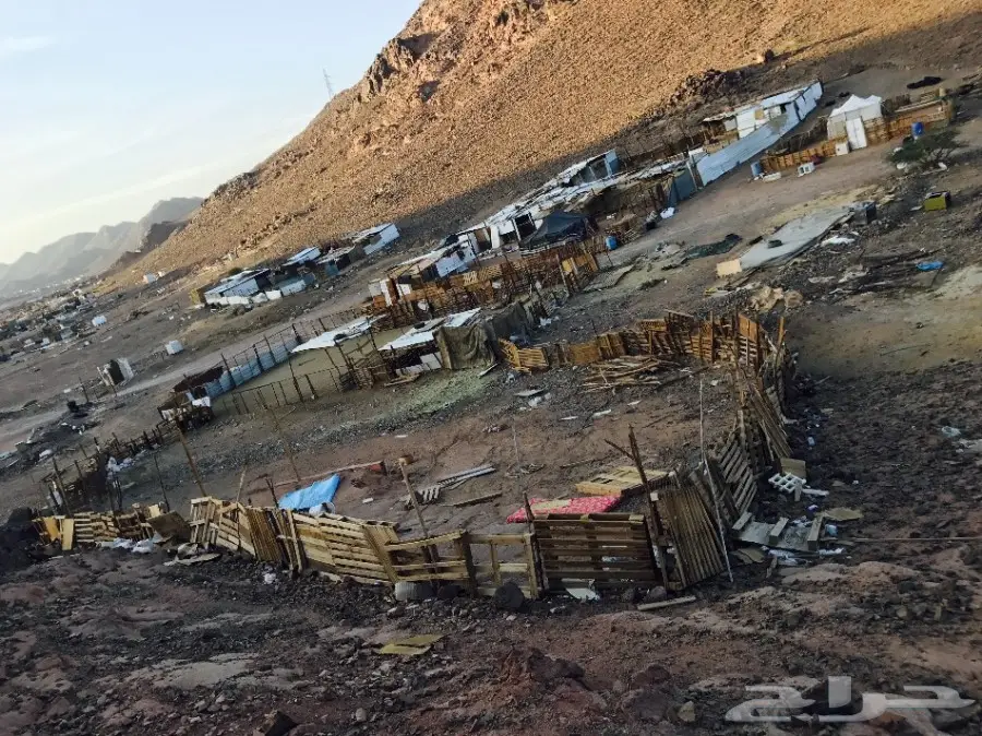 شبك غنم(مراح) (image 6)