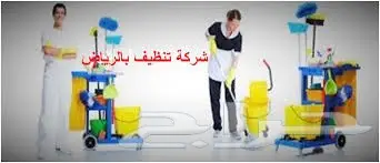 تنظيف احترافي لمنازلكم وممتلكاتكم (image 5)