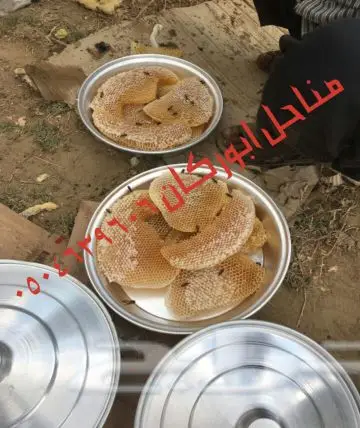 عسل سدراصلي عشرين الف اذا اتضح عليه تغذيه  (image 5)