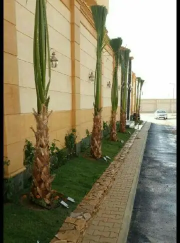 ابو عبدالرحمن فنى حدائق وبيع جميع انواع النخل (image 1)