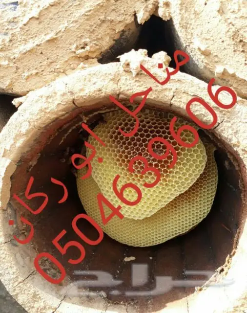 عسل سدراصلي عشرين الف اذا اتضح عليه تغذيه (image 9)