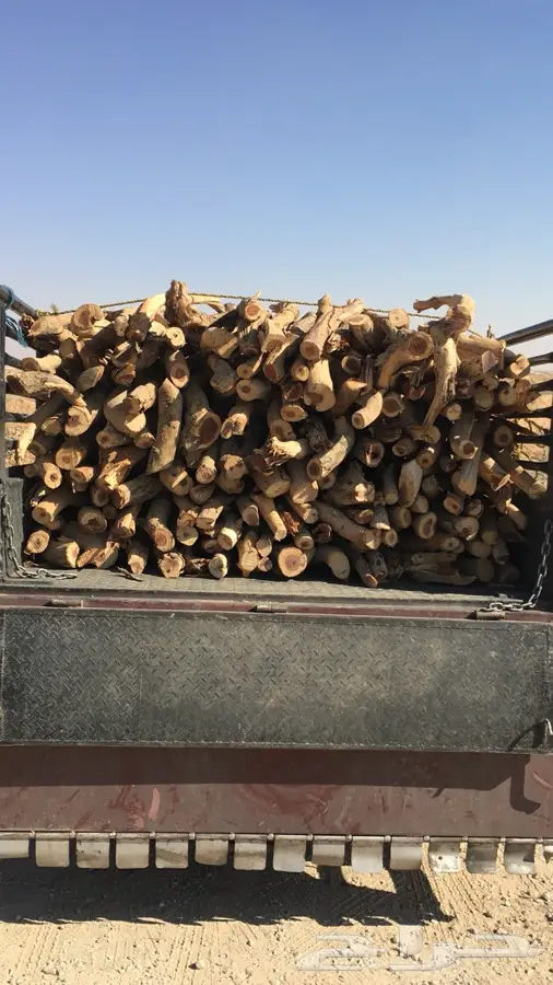 الحوطه سدير 