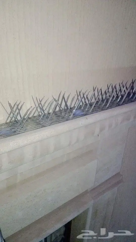 شركة مكافحة حمام مكافحة الطيور تركيب شبك