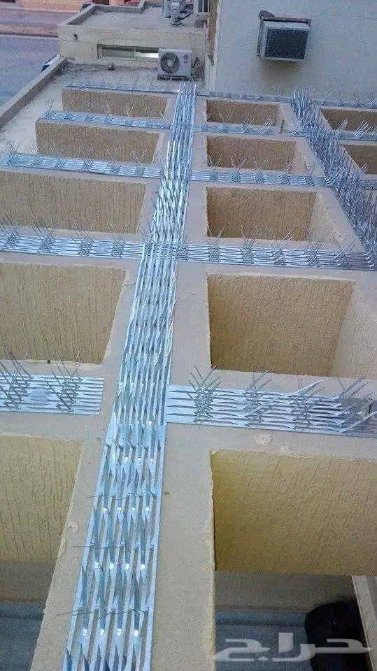 شركة مكافحة حمام مكافحة الطيور تركيب شبك (image 2)