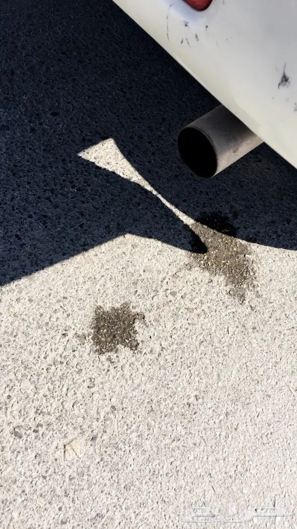 باثفندر 2005 للبيع  (image 10)