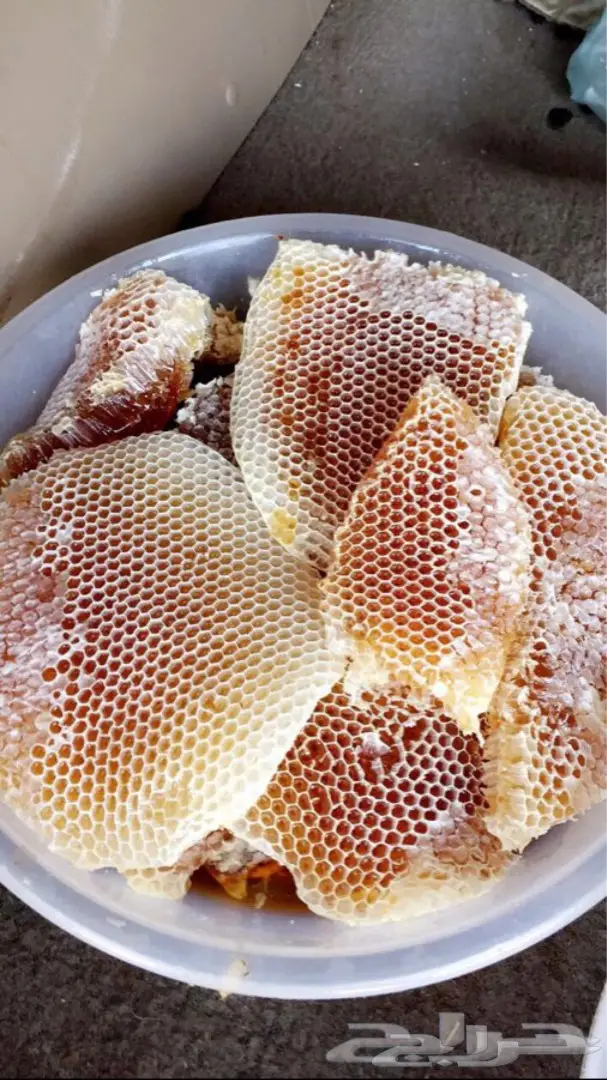 عسل سدر مضمون على المختبر 10الاف اذا مغشوش  (image 8)