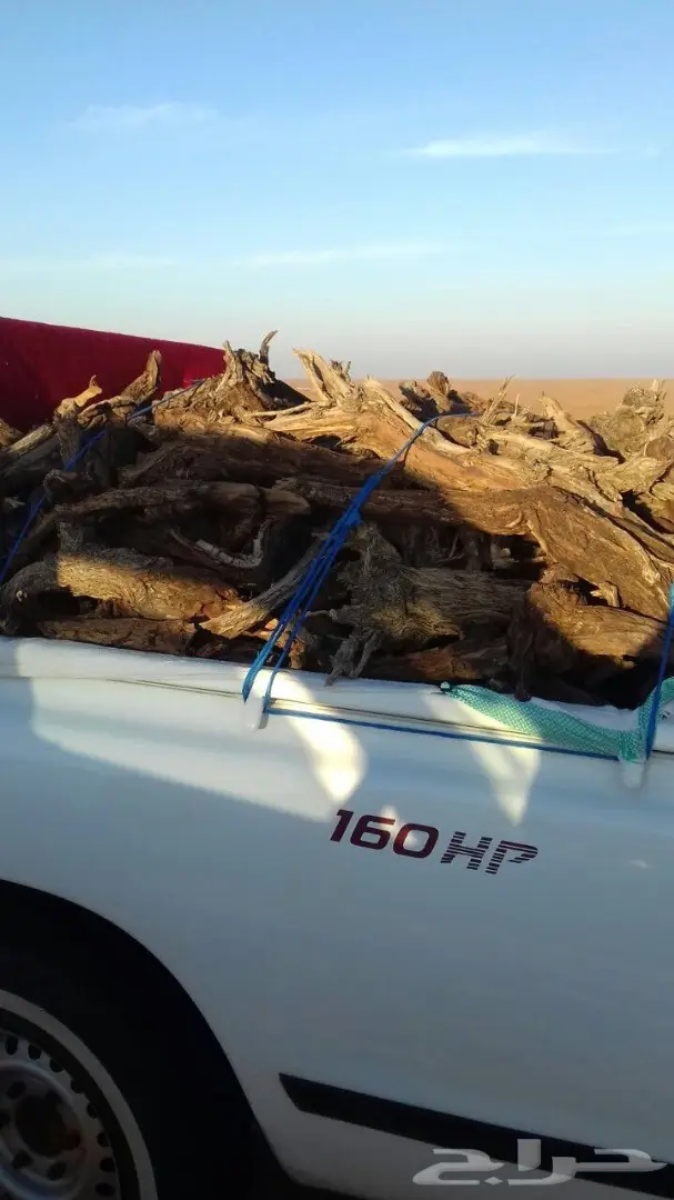 حطب للبيع