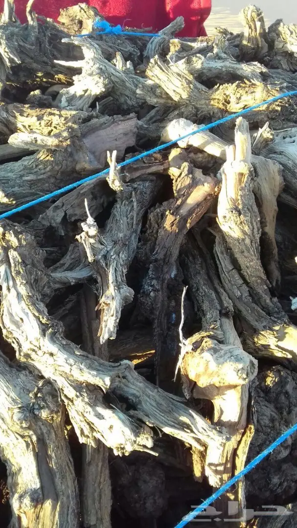 حطب للبيع (image 2)