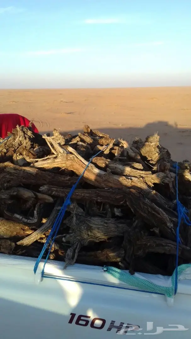 حطب للبيع (image 3)