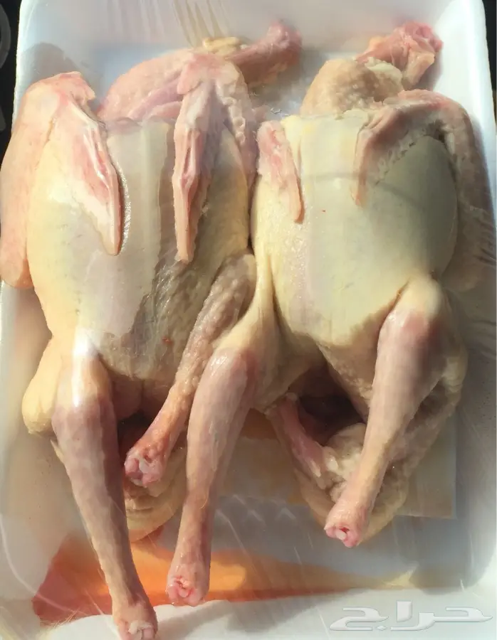 حمام فرنسي لاحم يوجد لدينا مذبوح و مطبوخ