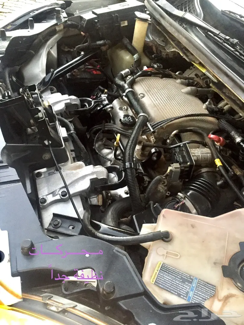 للبيع شفر فان مخزن - فرصة لا تعوض! (image 25)