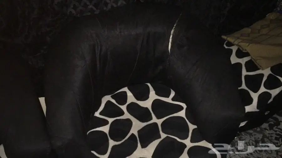 كنب ثلاجه (image 2)