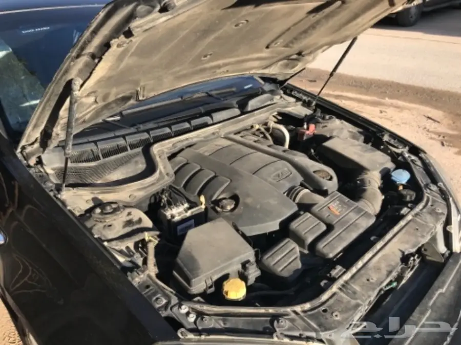 للبيع كابرس رويال 2013 (image 20)