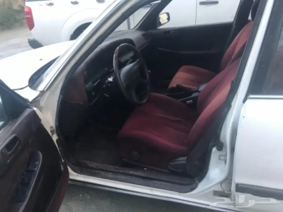 كراسيدا (image 2)