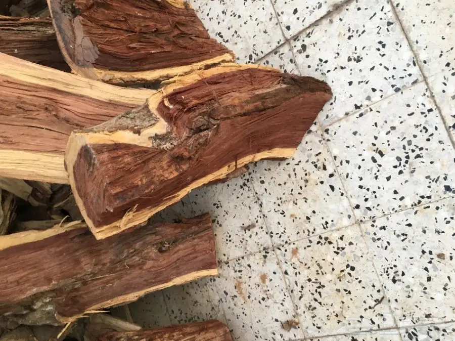 شلايخ سمر شرط  (image 7)