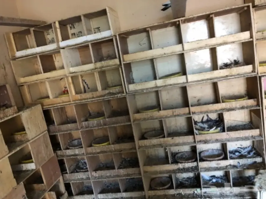 للبيع  (image 3)