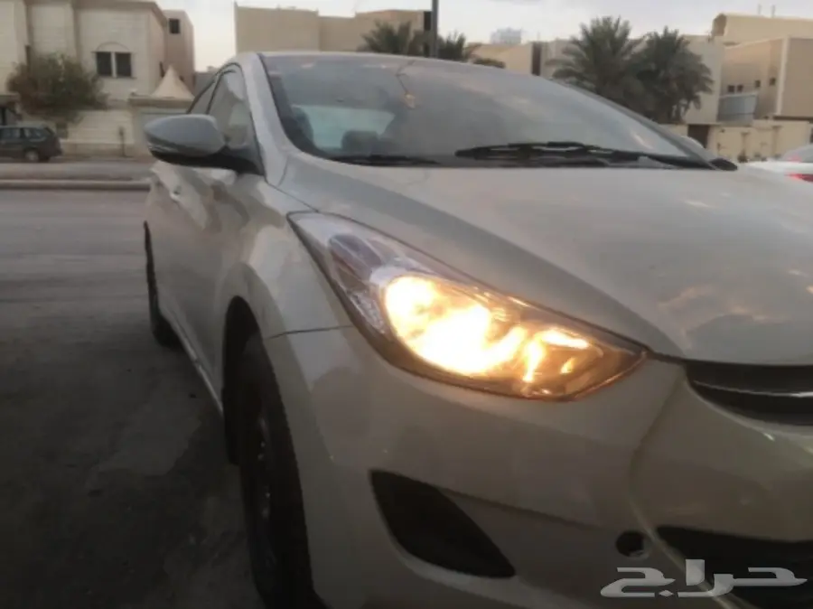 اللنترا 2013 (image 1)