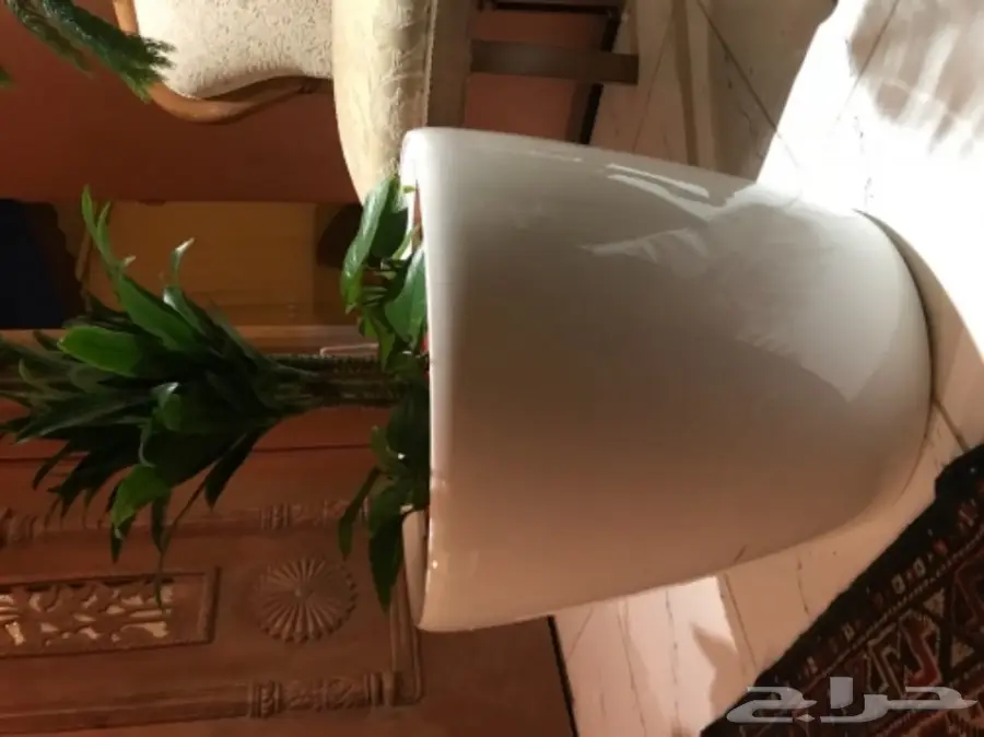 احواض نبات وورود ( ليتشوزا )  (image 3)